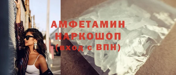 индика Алексин