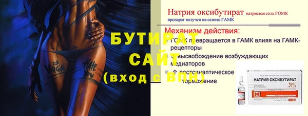 индика Алексин