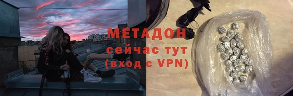 индика Алексин
