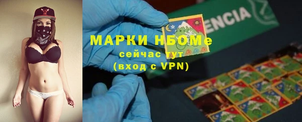 индика Алексин