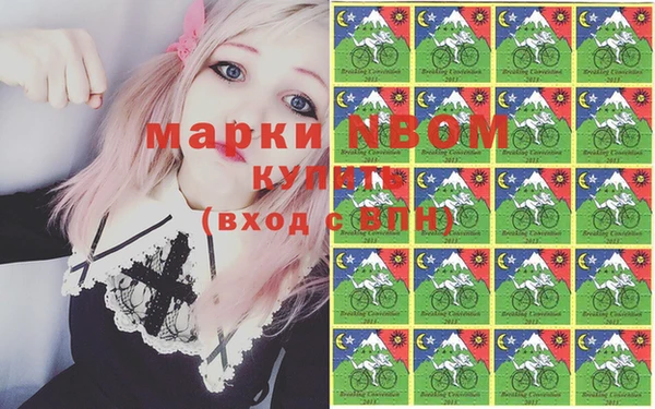индика Алексин