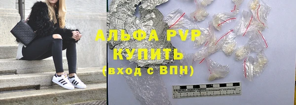 индика Алексин