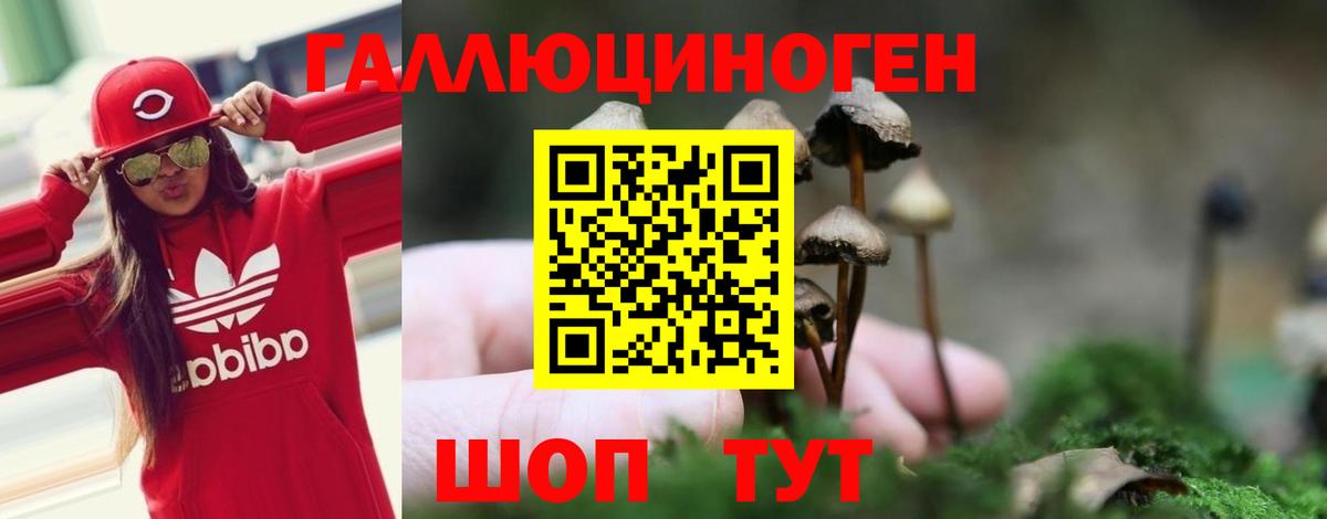 Туймазы  Псилоцибиновые грибы MAGIC MUSHROOMS  Вход с VPN  Галлюциногенные грибы мухоморы 